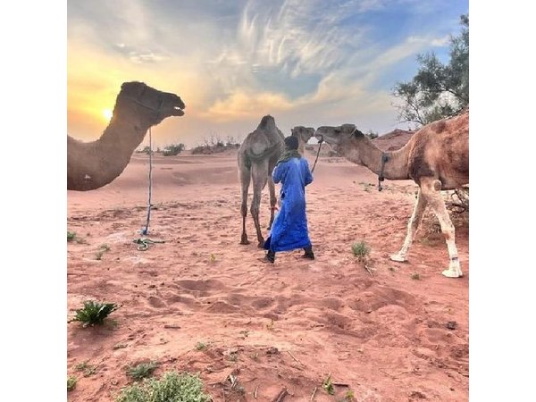 5 Day Sahara Desert Trekking Experience from Marrakech