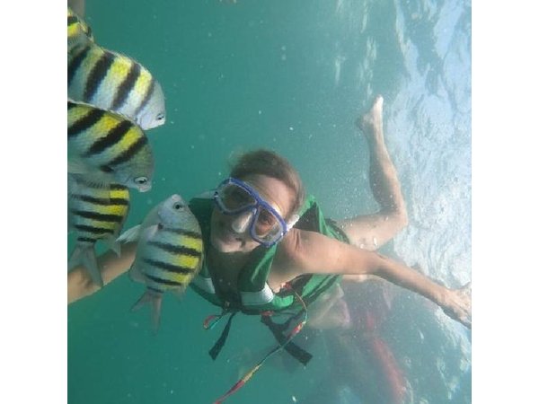 Snorkel and Mangroves in Cartagena with Lunch