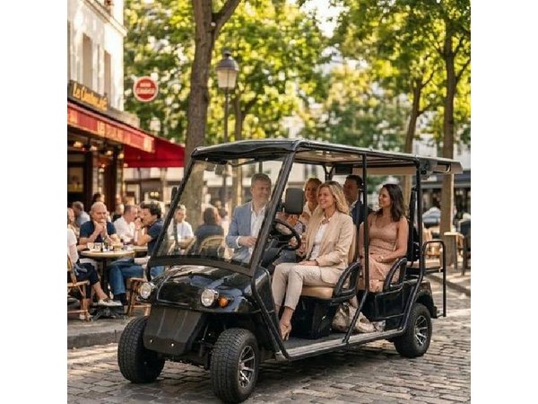 Private Paris Golf Cart Tour St Germain and Latin Quarter