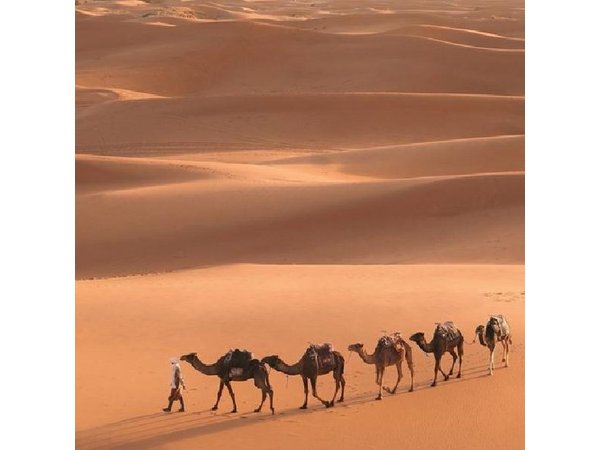 From Marrakech: 3-Day Merzouga and Sahara Desert Tour