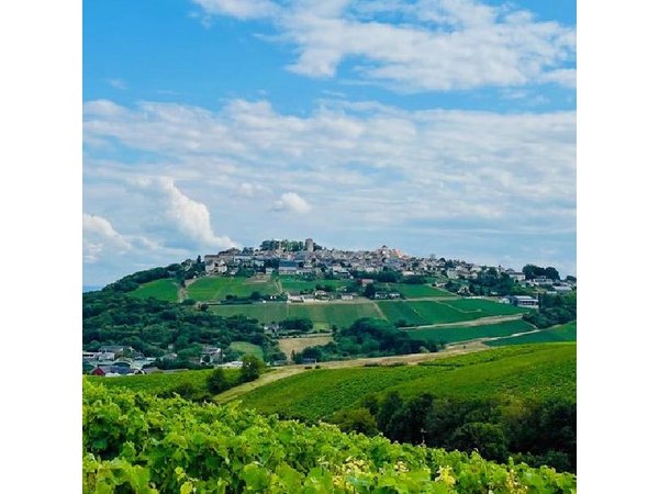 Paris Wine Day Tours exclusive wine tour in the Sancerre area