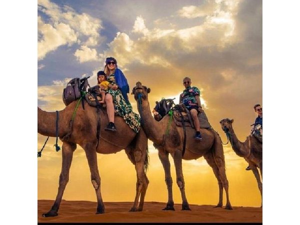 Marrakech: Camel Ride and Sunset & Dinner Show in Agafay Desert