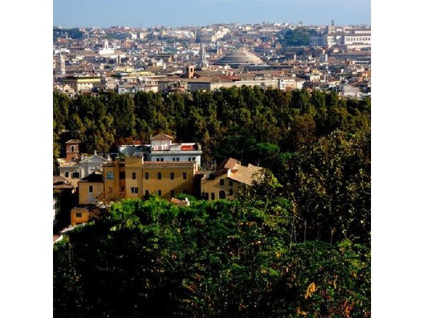 Rome Half Day Private Tour with Driver-Guide