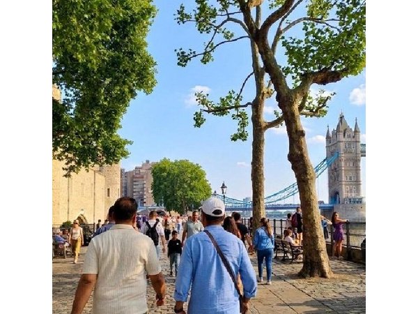 Walk London: Big Ben to Tower Bridge (Private or Group City Hike)