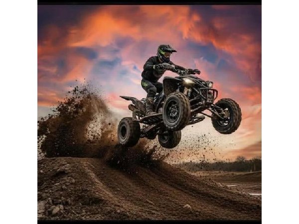 Marrakech: Agafay Desert Quad Biking & Camel Ride & Dinner & Show
