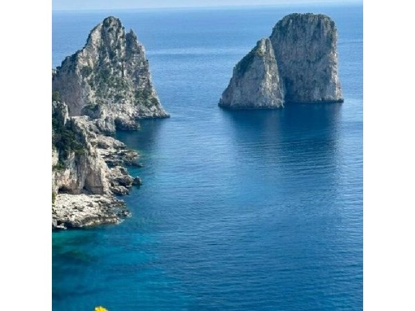 From Sorrento/Nerano: Capri Shared Tour - without pick up