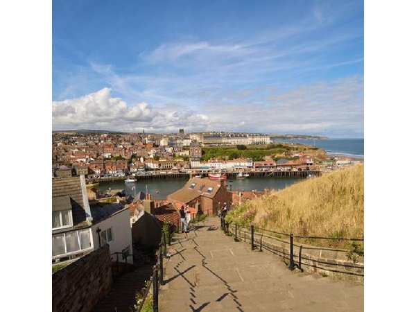 North York Moors and Whitby Day Tour from York