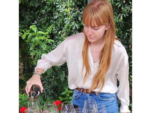 Private Sancerre vineyards & cellars tour from Paris + Sommelier