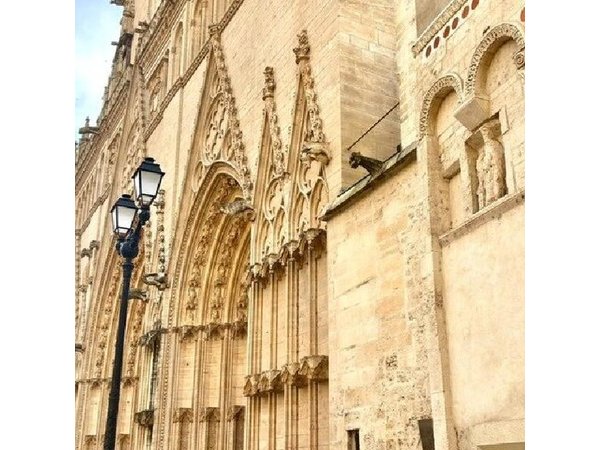Lyon: Hidden Traboules and Old Town Walking Tour