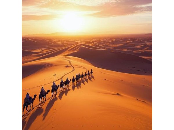 From Marrakech: 3-Day Sahara Desert Adventure to Fes, with Camels