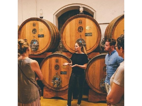 Amarone Wine Tasting Tour from Verona with Private Transportation