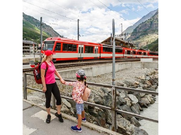 From Milan: Bernina Train Day Trip to Tirano & St. Moritz