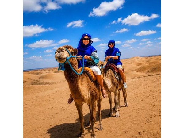 Agafay Desert Camel Rid, Sunset Dinner & Fire Show from Marrakech