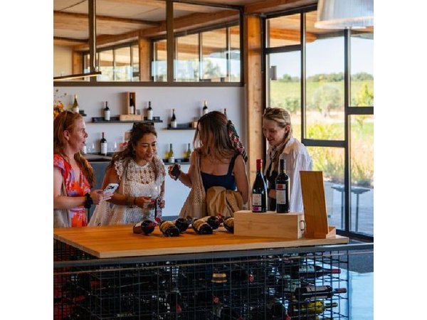 Ribera del Duero Wineries Guided Tour & Wine Tasting from Madrid