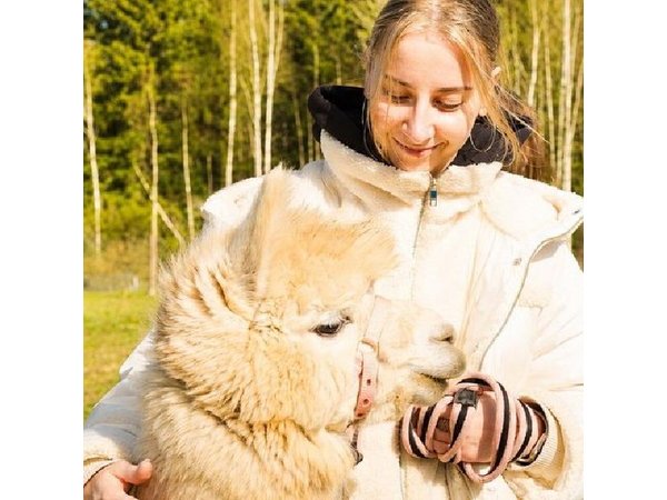 Private Alpaca Forest Walk Helsinki: Feeding, Photos,Hotel Pickup
