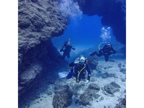 Guided 2-Dive Scuba Trip in South Tenerife