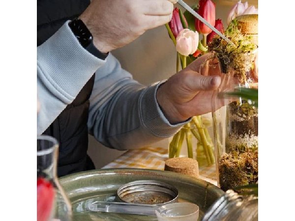 Terrarium Making Experience in Cirencester