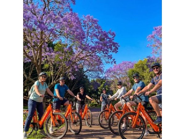 Santa Cruz de Tenerife Highlights Bike Tour with E-Bike Option