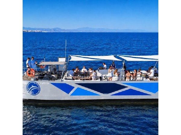 Dolphin Watching in Catamaran from Benalmadena