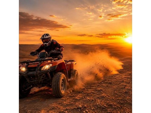 Marrakech : Agafay Desert: traditionnel dinner ,camel ride & Quad