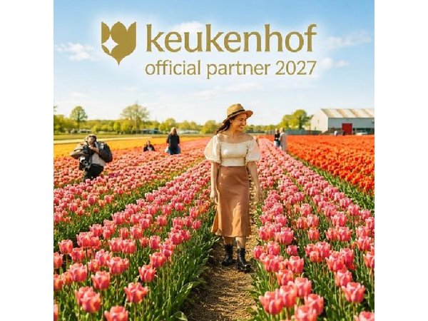 Amsterdam: Day trip to Tulip Farm, Keukenhof + Windmill Cruise