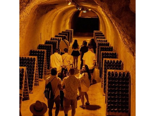 Small-Group Champagne Lunch & Tasting from Paris with Pickup