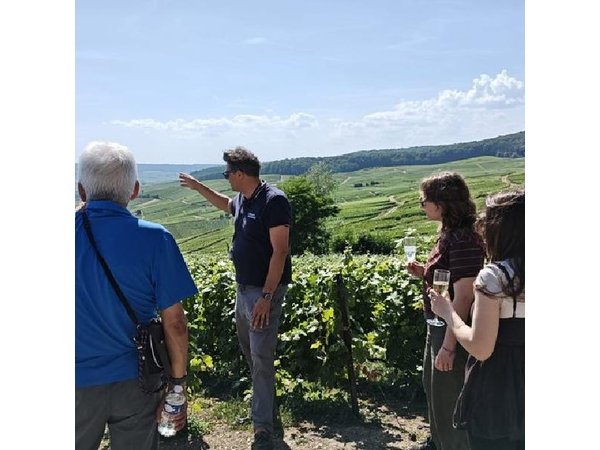 Champagne Day Trip from Paris with 7 Tastings Prestigious Houses