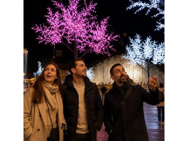 Madrid Christmas Tour: Private & Custom with a Local Guide
