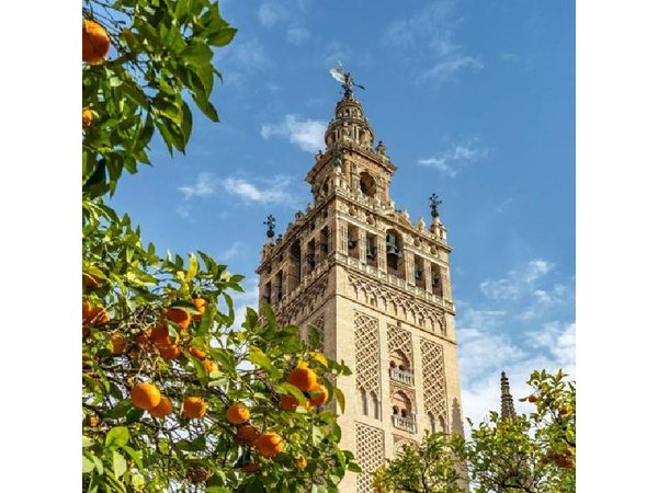Seville: guided tour of Alcazar, Cathedral, Giralda and Santa Cruz