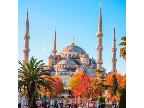 Best of Istanbul in One Day: Private Tour with Licensed Guide