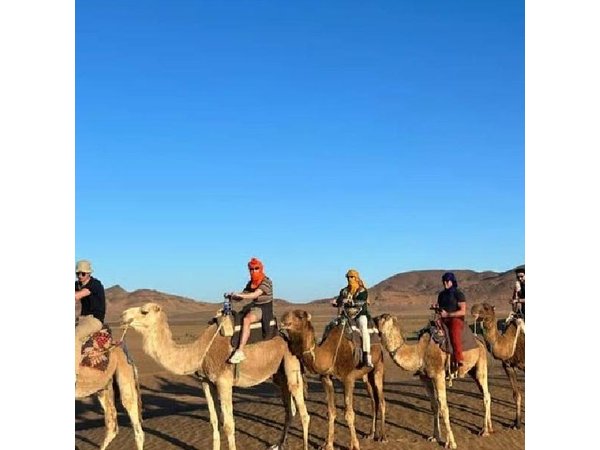 2 Days Desert Tour From Marrakech To Zagora And Camel Trek