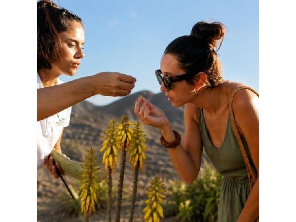Fuerteventura Organic Farm: Aloe Vera & Olive Oil Tasting