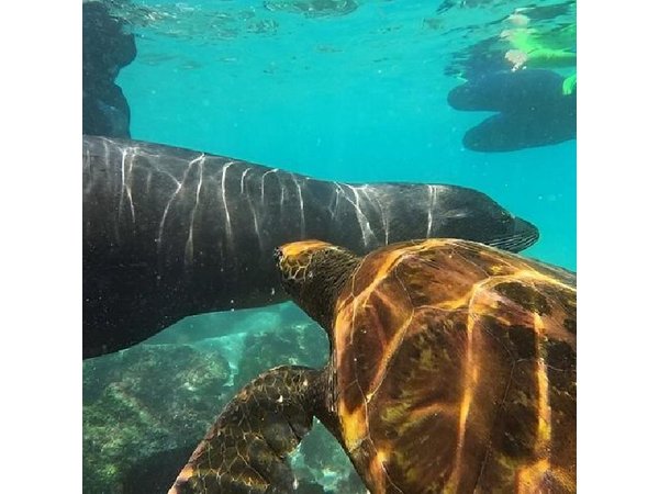 Full Day Tour Pinzon Island + La Fe/Las Palmas - Snorkeling & Fishing