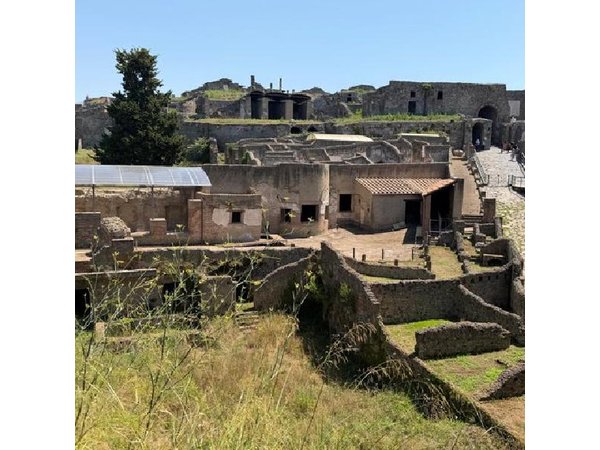 Pompeii and Sorrento Private Day Tour from Rome