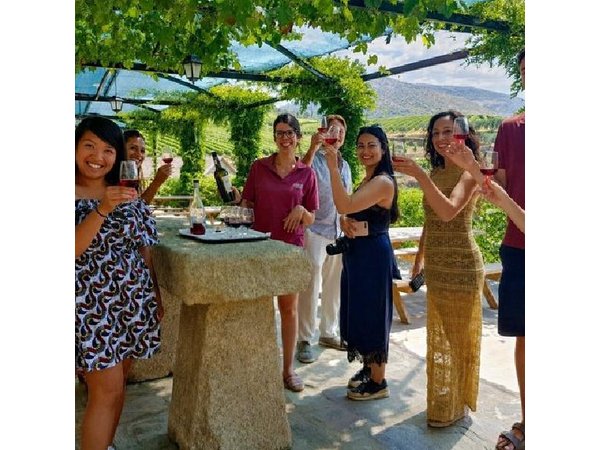 From Porto: Small-Group Douro Valley Tour with 4 Wineries