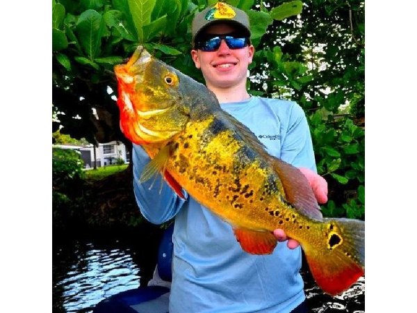 Private Peacock Bass Fishing Charter Near Miami Beach