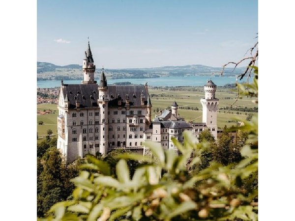 Neuschwanstein Castle Late Start Tour from Munich