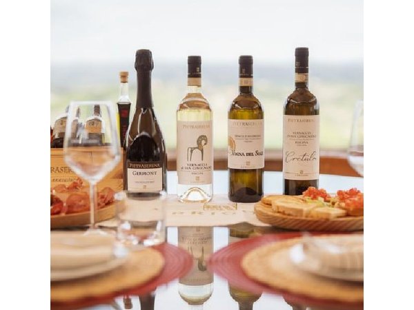 5 Wine Tastings in San Gimignano