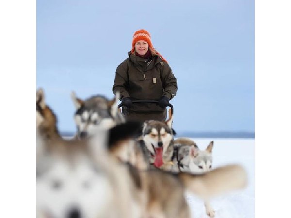5KM Husky Sled Ride from Levi