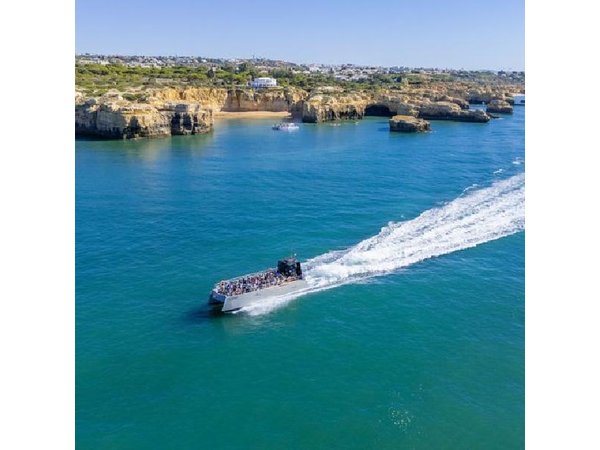 Albufeira: Dolphins & Benagil Caves with Marine Biologist