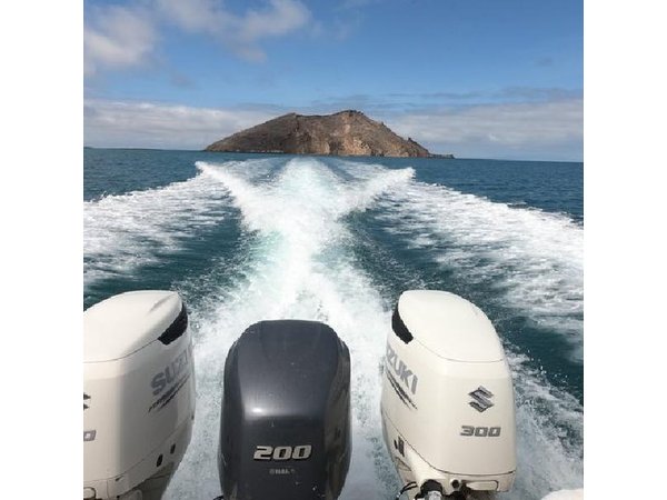 Isla Pinzón - Day Tour - From Santa Cruz - Islas Galápagos