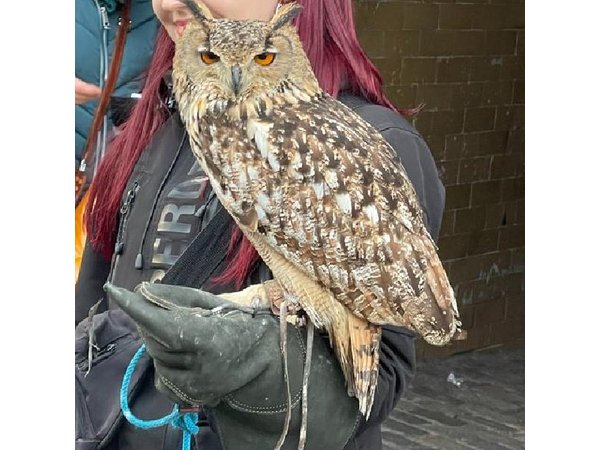 JK Rowling's Harry Potter Walking Tour in Edinburgh