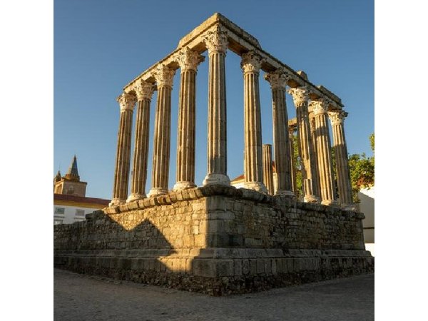Lisbon: Évora Winery Tour, Bones Chapel & Tastings - Small Group
