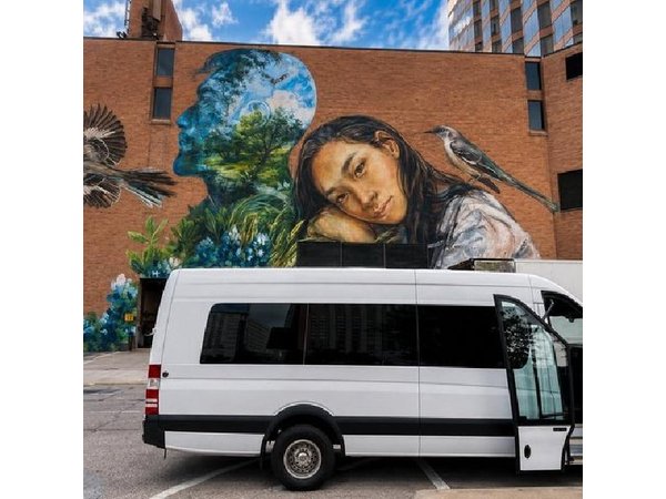 Executive Private Houston City Tour
