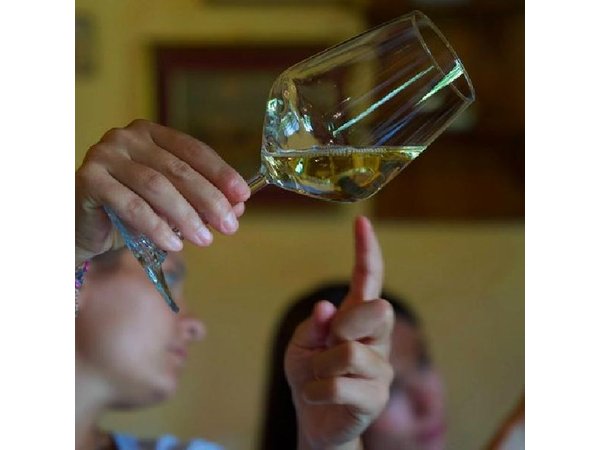 Rome Countryside Vineyards and Wine Tasting - Private Tour