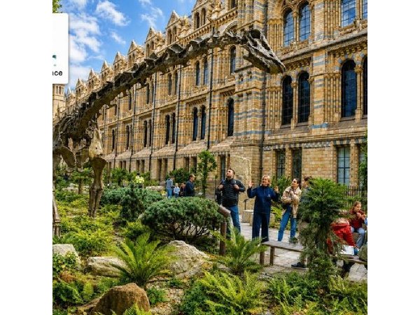 London: Natural History Museum Guided Tour & Audio Guide