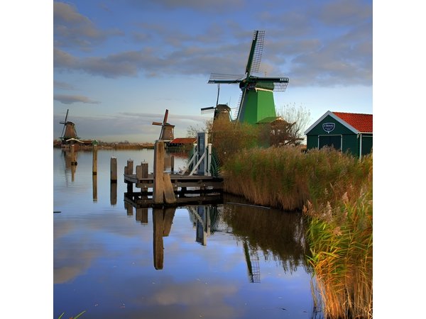 Amsterdam private tour to windmills, cheese farm and villages