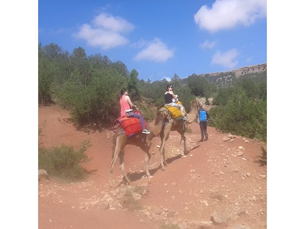 Private Day Trip from Marrakech: Camel Ride and Hike in the High Atlas Mountains