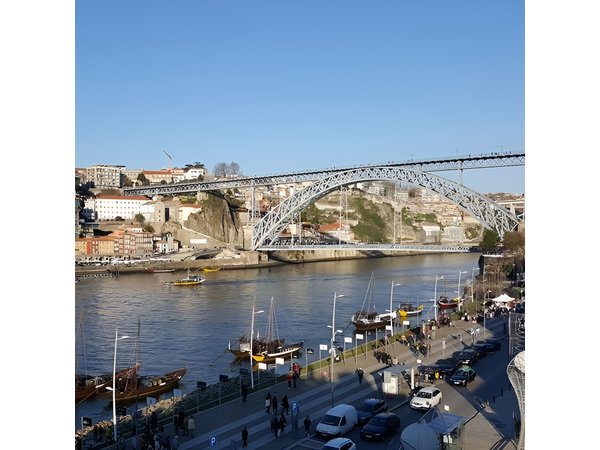 Half-day small group tour of Porto city with wine tasting