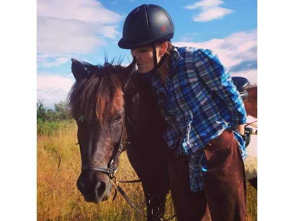 1+ hour Private Horse riding tour from Reykjavík/Mosfellsbær